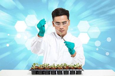 《风来之国》新DLC《复活吧！海鸥镇》正式公布，逃离一切来种田